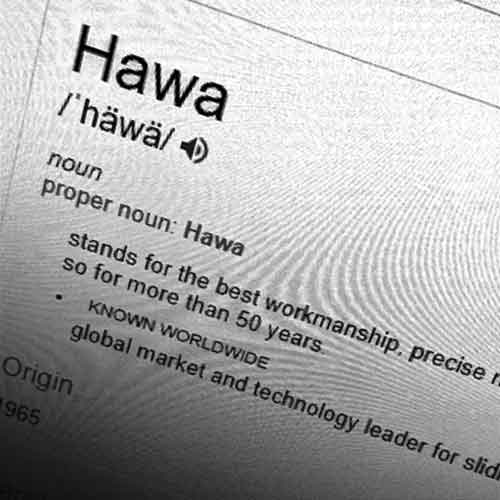 Photograph of computer screen with fictional definition of word Hawa.