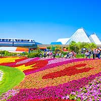 Colorful flowers, monorail, and glass structure photographed in Orlando, Florida.