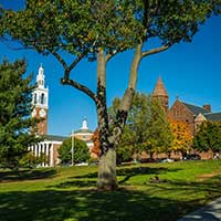Photograph of trees and buildings on University of Vermont campus.