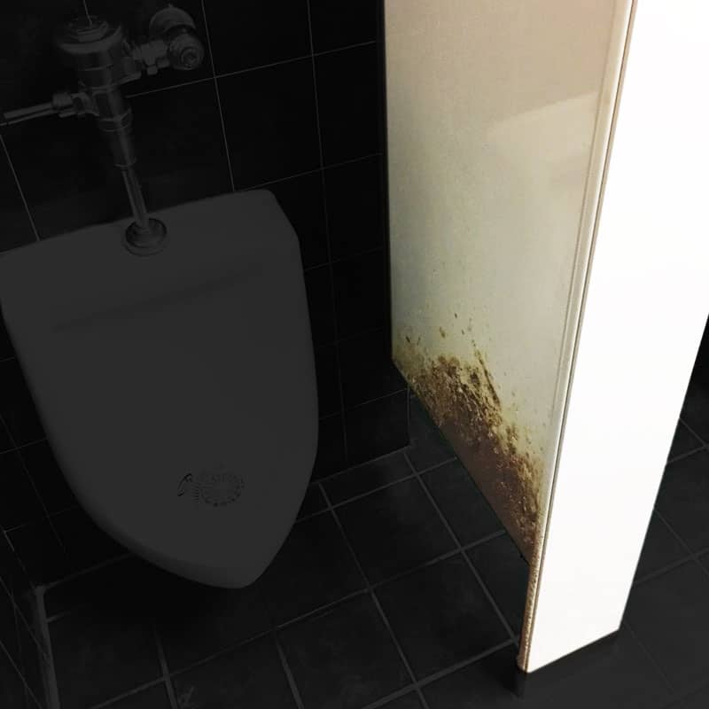 Modified photograph of rusted partition and urinal.