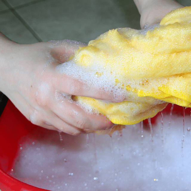 Photograph of hands in soapy bucket.