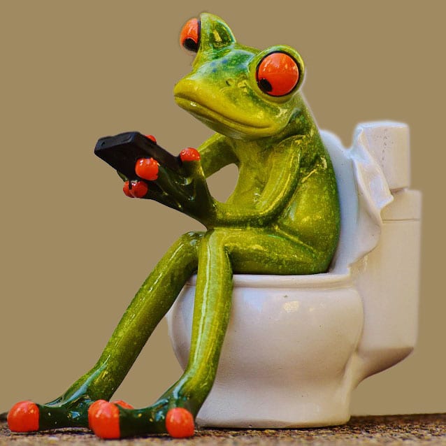 Photo of a ceramic statue of a frog using a cell phone while sitting on a toilet.