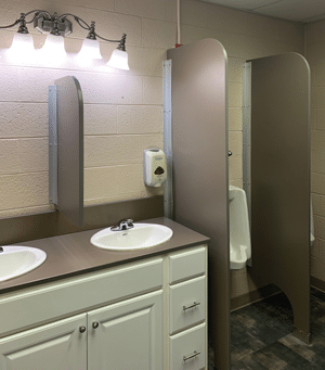 Photo of Grey Urinal Screens
