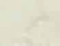 Phenolic Calacatta Oro 4981-SC