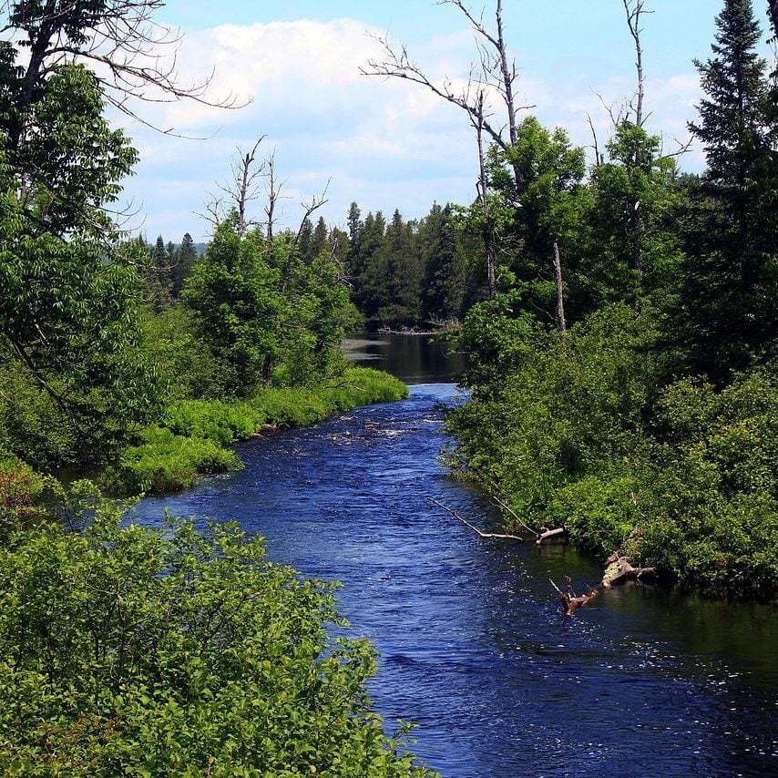 Photograph of a deep blue river winding through green shrubbery.