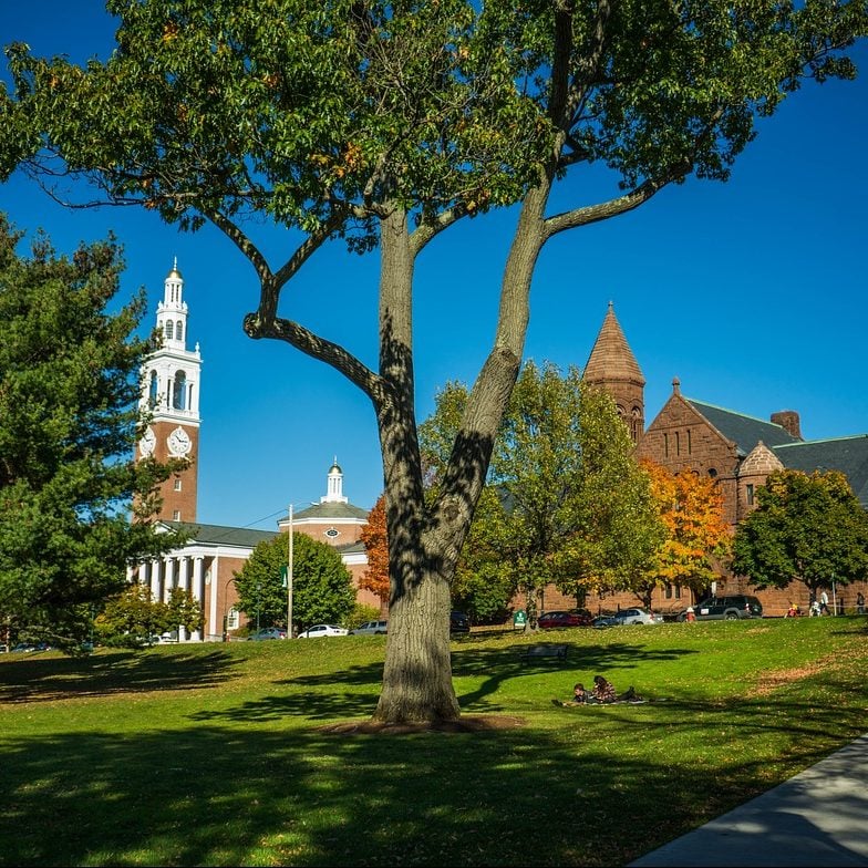 Photograph of trees and buildings on University of Vermont campus.