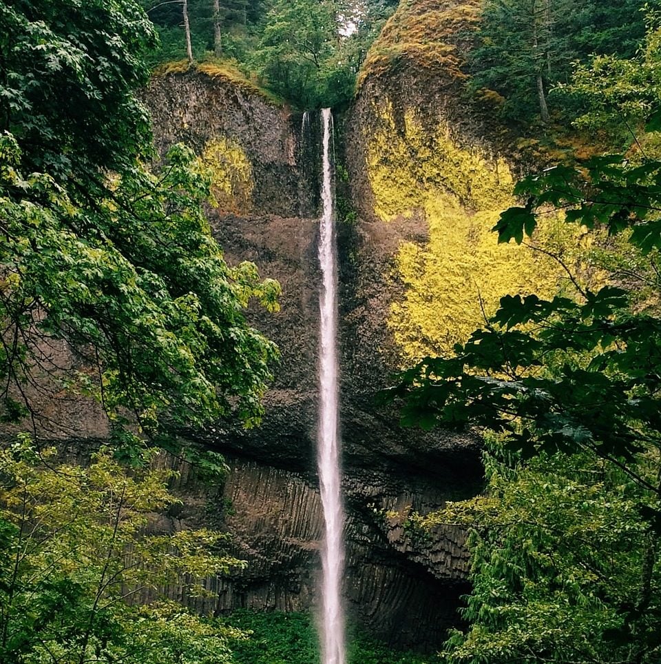 Photograph of Pacific Northwest forest gorge with waterfall, autumn colors.